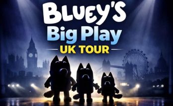 Bluey's big play