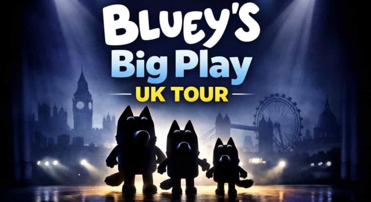 Bluey's big play